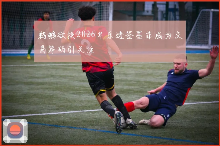 鹈鹕欲换2026年乐透签墨菲成为交易筹码引关注